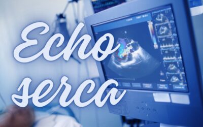 na czym polega echo serca