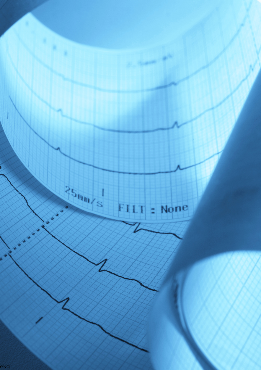 kardiolog w lęborku